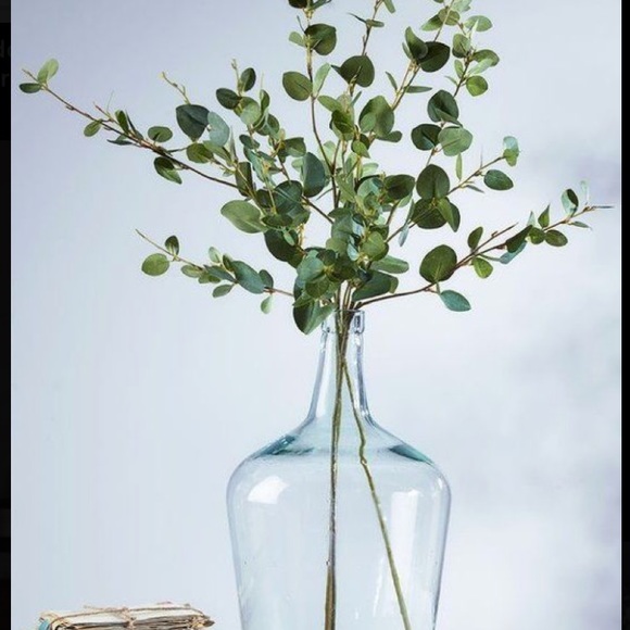 🌱RESTOCKED🌱Real Silver Dollar Eucalyptus-Dried - Picture 8 of 10